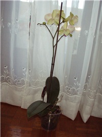 7c012804-Picture 559.jpg
